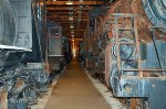 Steam Locomotives inside the shed